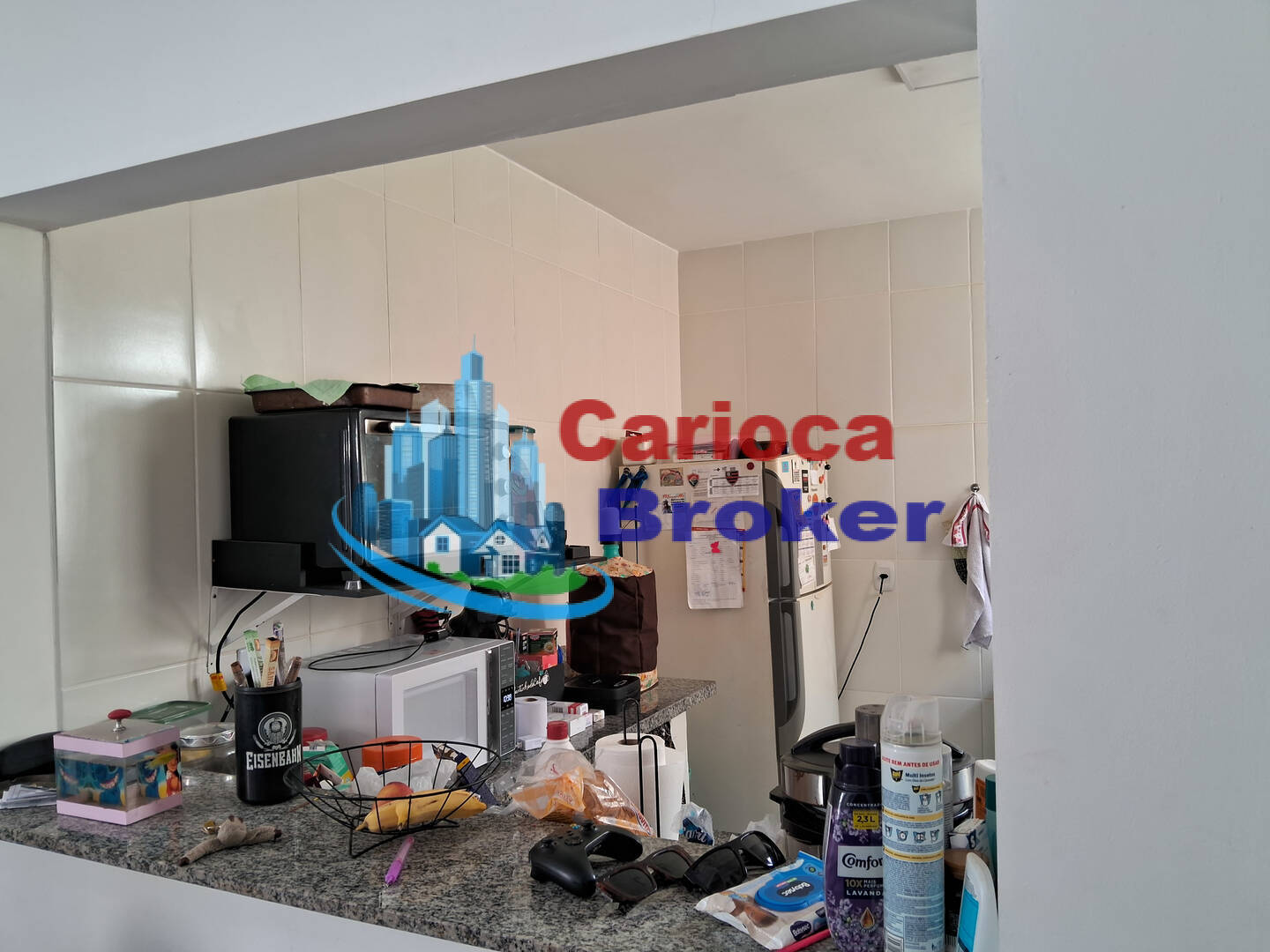 Casa, 4 quartos, 300 m² - Foto 26